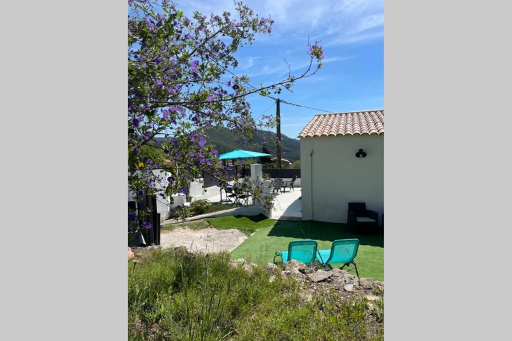 Maison Avec Jardin, Parking Entre Mer Et Montagne Le Revest-le-Eaux Exteriér fotografie
