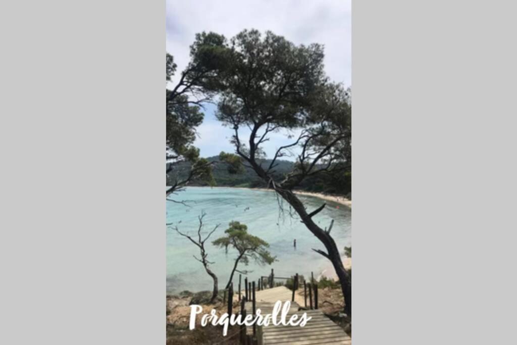 Maison Avec Jardin, Parking Entre Mer Et Montagne Le Revest-le-Eaux Exteriér fotografie