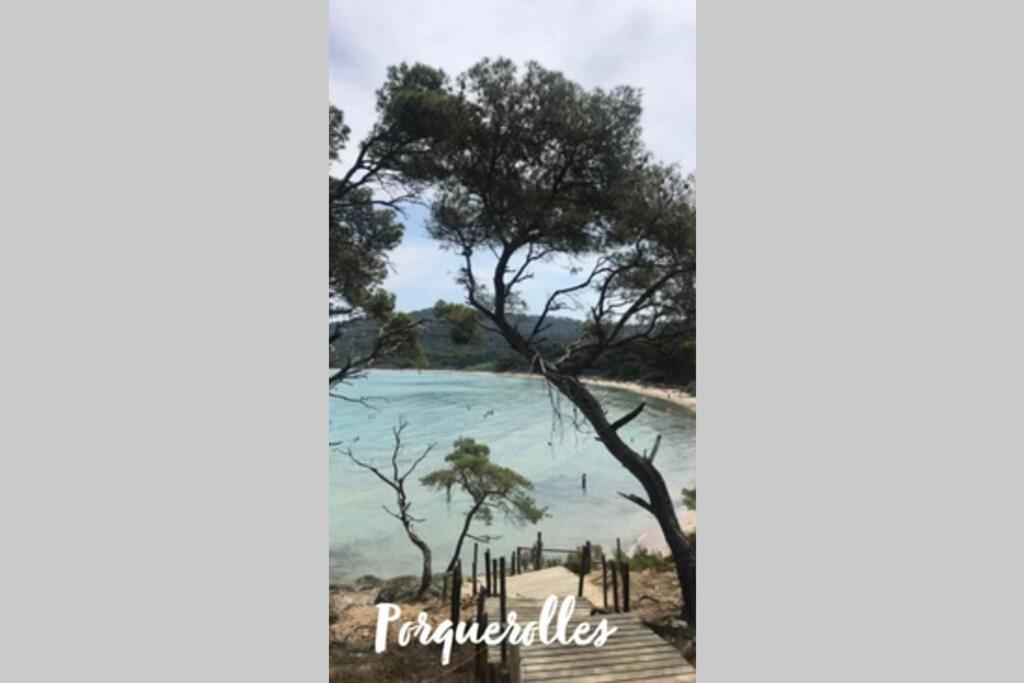 Vila Maison Avec Jardin, Parking Entre Mer Et Montagne Le Revest-le-Eaux Exteriér fotografie